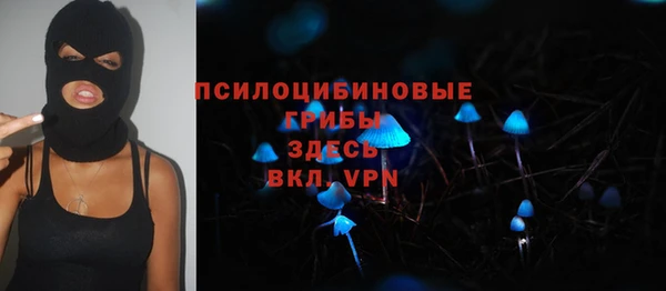 прущий лед Аркадак